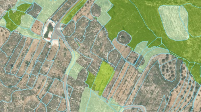 Από το Δασικό Κτηματολόγιο στους Δασικούς Χάρτες και το Κτηματολόγιο