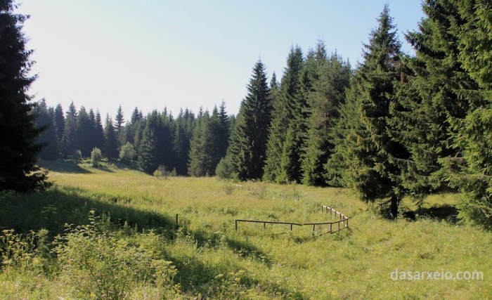 Μάριος Τρίγκας: «Τα ελληνικά δάση αποτελούν έναν ανεκτίμητο εθνικό θησαυρό»