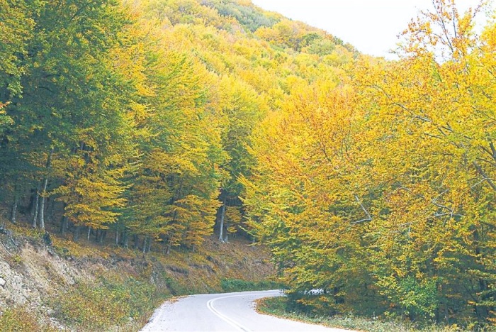 Αιολικά έργα και αντιπυρική προστασία: Η θέση της Ευρωπαϊκής Επιτροπής