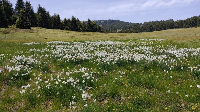 22 Μαΐου 2025 – Παγκόσμια Ημέρα Βιοποικιλότητας