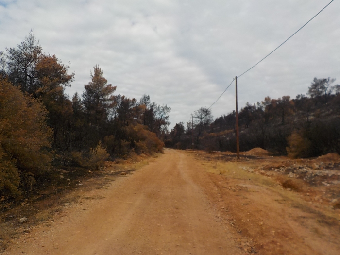 Επιτέλους! Αλλαγές στη δασοπυρόσβεση ή αφελείς δηλώσεις;