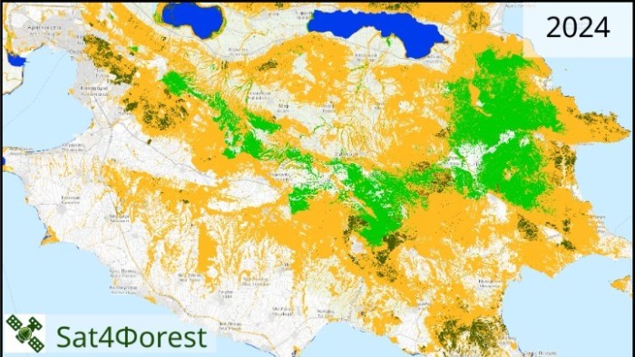 Την υγεία των ελληνικών δασών χαρτογραφούν επιστήμονες στο ΑΠΘ