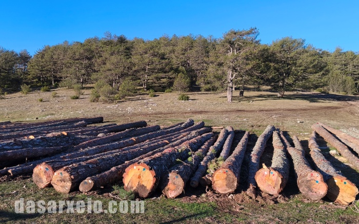 Νέα Υπουργική Απόφαση για την ανάθεση διαχείρισης και εκμετάλλευσης δημοσίων δασών