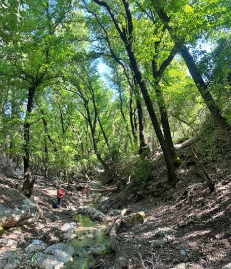 Ένα άγνωστο, εν πολλοίς, κληροδότημα της Ροδιακής φύσης