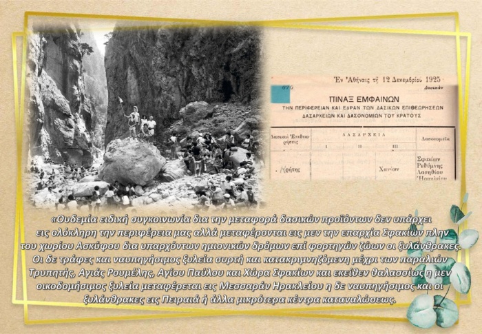 100+ Χρόνια Δασική Υπηρεσία Χανίων