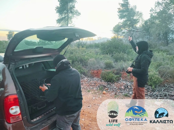 Δράσεις του έργου LIFE Wild Wolf για την αντιμετώπιση των περιστατικών ισχυρής εξοικείωσης λύκων στη προστατευόμενη περιοχή της Πάρνηθας