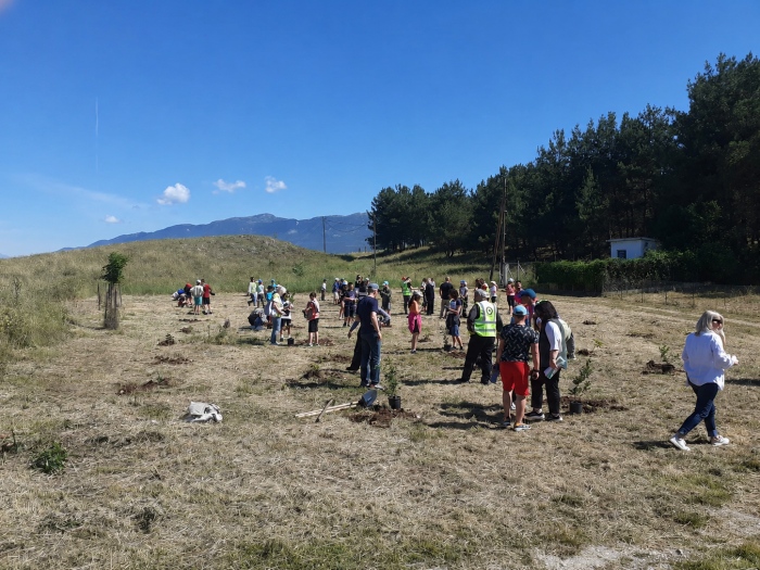 Δράση δενδροφύτευσης στην Ελεούσα με τη συμμετοχή μαθητών δημοτικών σχολείων