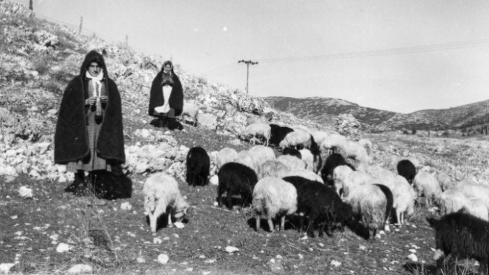Η ποιμενική ζωή της δεκαετίας του ΄50 «μιλάει» μέσα από το αρχείο του Χ. Αραβαντινού που παραχωρήθηκε στην Ελληνική Λιβαδοπονική Εταιρία