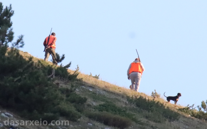 Ελληνική Αριστερή Συμπαράταξη: «Η άγρια ζωή στη Σαπιέντζα δεν είναι κυνηγετικό τρόπαιο»
